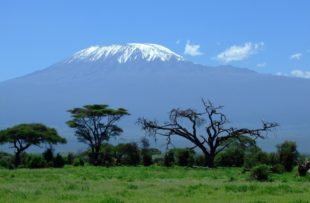 Kilimanjaro