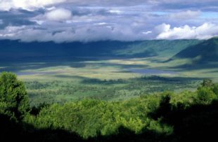 Ngorongoro Crater