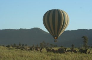 Hot air balloon over the Serengeti